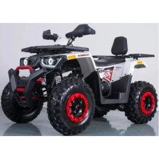 Квадроцикл Forte Braves 200