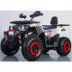 Квадроцикл Forte Braves 200