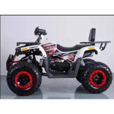 Квадроцикл Forte Braves 200