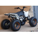 Квадроцикл Speed ​​Gear Madix 125