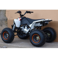 Квадроцикл Speed ​​Gear Madix 125