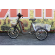 Електровелосипед триколісний SKYMOTO BIG HAPPY 350W 48V 10Ah 22"/20"