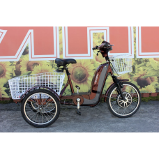 Електровелосипед триколісний SKYMOTO BIG HAPPY 350W 48V 10Ah 22"/20"