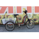 Електровелосипед триколісний SKYMOTO BIG HAPPY 350W 48V 10Ah 22"/20"