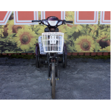 Електровелосипед триколісний SKYMOTO BIG HAPPY 350W 48V 10Ah 22"/20"