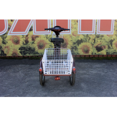 Електровелосипед триколісний SKYMOTO BIG HAPPY 350W 48V 10Ah 22"/20"