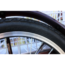 Електровелосипед триколісний SKYMOTO BIG HAPPY 350W 48V 10Ah 22"/20"