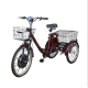 Електровелосипед триколісний SKYMOTO BIG HAPPY 350W 48V 10Ah 22"/20"