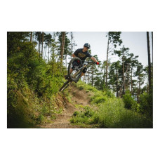 Електровелосипед Mondraker Neat RR 250W 36V 10Ah 29"