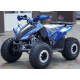 Квадроцикл COMMAN RIVAL 125 синій