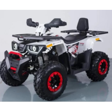 Квадроцикл Forte Braves 200