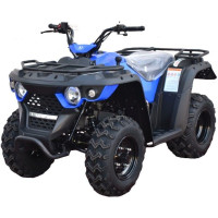 Квадроцикл Linhai M150