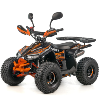 Квадроцикл ASIX MUDDY 110см³ E-Start