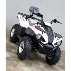Квадроцикл Linhai Z180 Білий