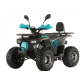 Квадроцикл FORTE ATV125P сіро-блакитний