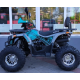 Квадроцикл FORTE ATV125P сіро-блакитний