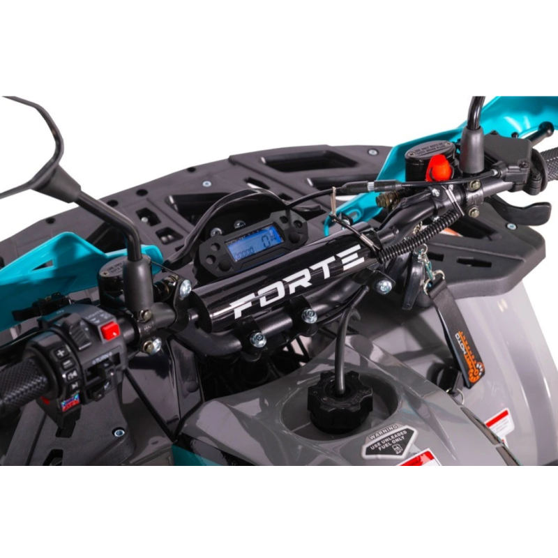Квадроцикл FORTE ATV125P сіро-блакитний