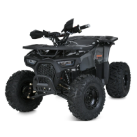 Квадроцикл Profi HB-EATV1450F-P-5 MP3 1500W