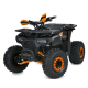 Квадроцикл Profi HB-EATV1450F-P-5 MP3 1500W