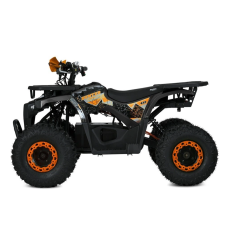 Квадроцикл Profi HB-EATV1450F-P-5 MP3 1500W