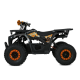 Квадроцикл Profi HB-EATV1450F-P-5 MP3 1500W