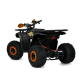 Квадроцикл Profi HB-EATV1450F-P-5 MP3 1500W