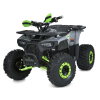 Квадроцикл Profi HB-EATV1450F-P-5 MP3 1500W