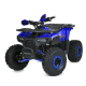 Квадроцикл Profi HB-EATV1450F-P-5 MP3 1500W
