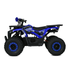 Квадроцикл Profi HB-EATV1450F-P-5 MP3 1500W