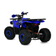 Квадроцикл Profi HB-EATV1450F-P-5 MP3 1500W