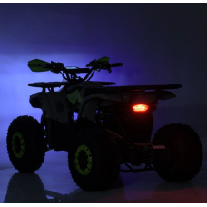 Квадроцикл Profi HB-EATV1450F-P-5 MP3 1500W