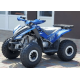 Квадроцикл COMMAN RIVAL 125 синій
