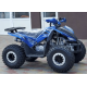 Квадроцикл COMMAN RIVAL 125 синій