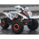 Квадроцикл COMMAN RIVAL 125 білий