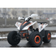 Квадроцикл COMMAN RIVAL 125 білий