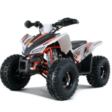 Квадроцикл COMMAN RIVAL 125 білий