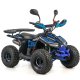Квадроцикл ASIX MUDDY 110см³ E-Start