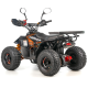 Квадроцикл ASIX MUDDY 110см³ E-Start