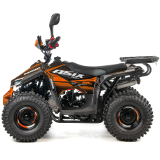 Квадроцикл ASIX MUDDY 110см³ E-Start