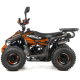 Квадроцикл ASIX MUDDY 110см³ E-Start