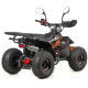 Квадроцикл ASIX MUDDY 110см³ E-Start