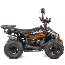 Квадроцикл ASIX MUDDY 110см³ E-Start