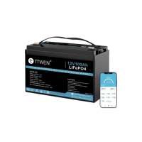 Акумулятор TTWEN 12V 100Аh 1280Wh LiFePO4 + Bluetooth (літій-залізо-фосфатний акумулятор)