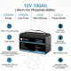 Акумулятор TTWEN 12V 100Аh 1280Wh LiFePO4 + Bluetooth (літій-залізо-фосфатний акумулятор)