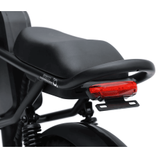 Електрофетбайк IDPOO IM-J1 750W 48V 15.6Ah 20"