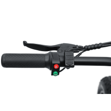 Електрофетбайк IDPOO IM-J1 750W 48V 15.6Ah 20"