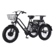 Електровелосипед триколісний Daibot Motorcycle 500W 48V 12Ah 20"