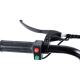 Електровелосипед триколісний Daibot Motorcycle 500W 48V 12Ah 20"