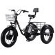Електровелосипед триколісний Daibot Motorcycle 500W 48V 12Ah 20"