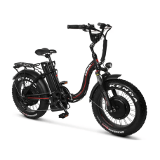 Електрофетбайк Cayman HARD DUAL 3000W 48V 21Ah 20"